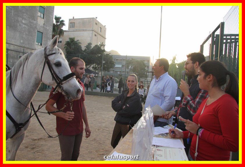 161106 equestre 034_tn.jpg